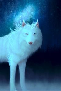 Preview wallpaper wolf, white, art, animal