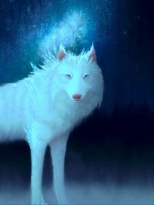 Preview wallpaper wolf, white, art, animal