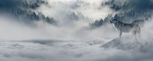Preview wallpaper wolf, wolves, predators, fog, snow, mountains