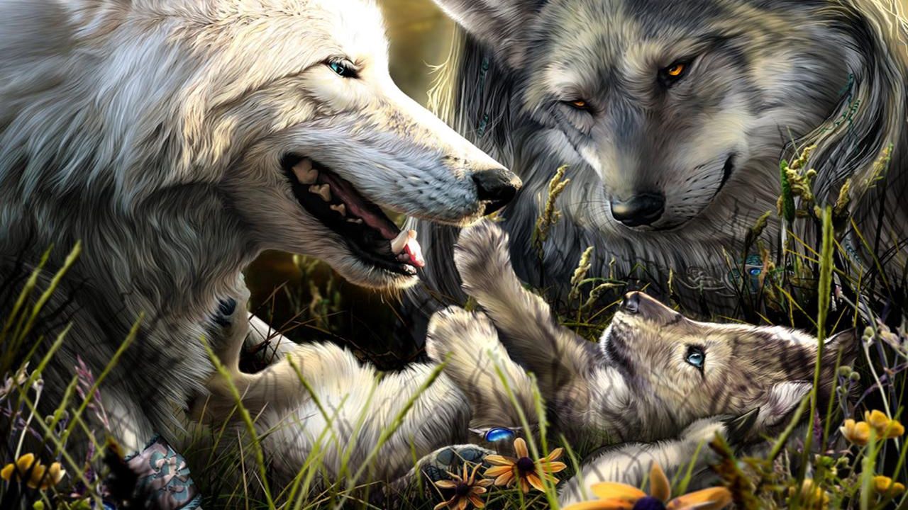 Wallpaper wolves, family, birth, love, kid