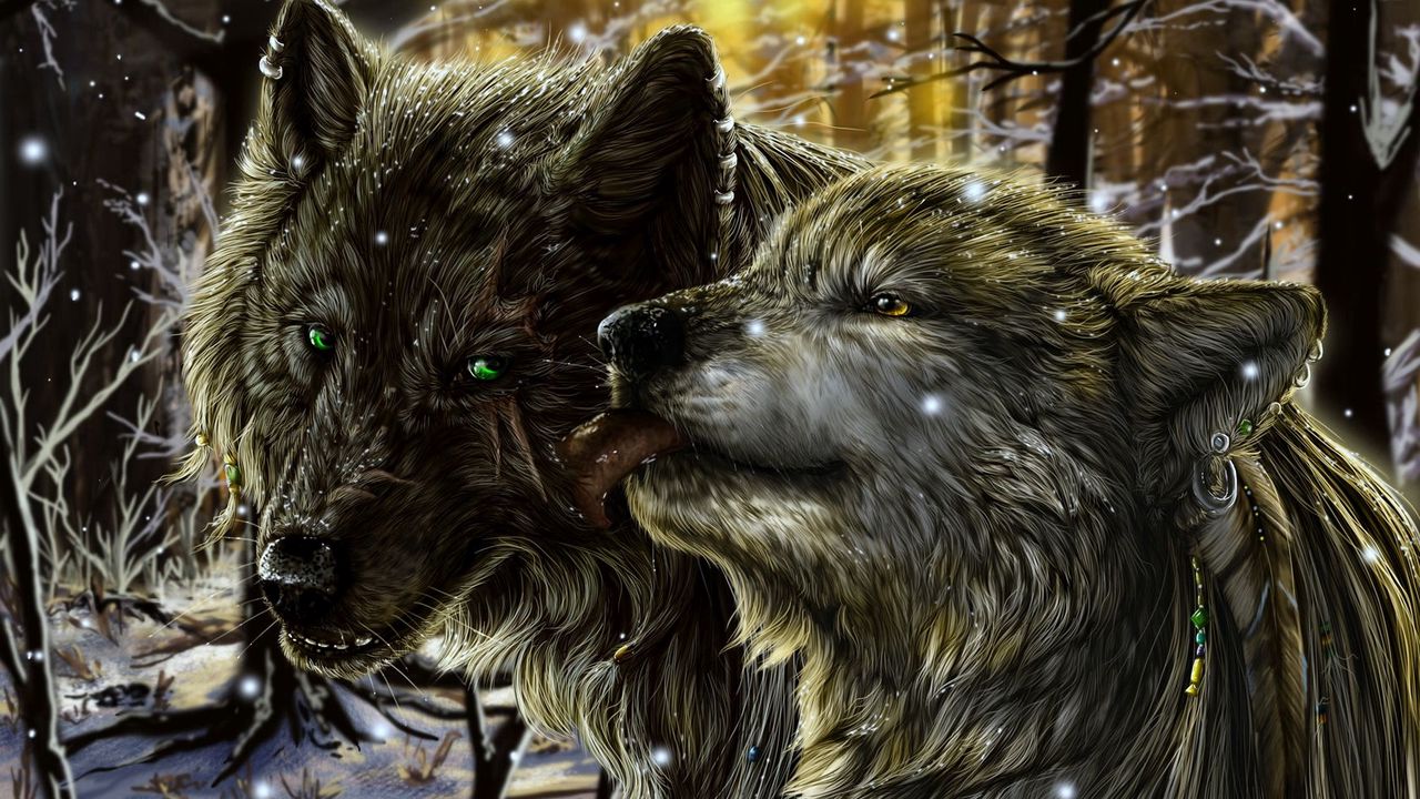 Wallpaper wolves, pair, tenderness, tongue, love, snow