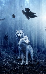 Preview wallpaper wolves, predators, forest, photoshop