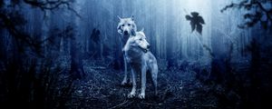 Preview wallpaper wolves, predators, forest, photoshop