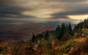 Preview wallpaper wood, autumn, evening, fog, clouds, height