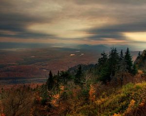 Preview wallpaper wood, autumn, evening, fog, clouds, height