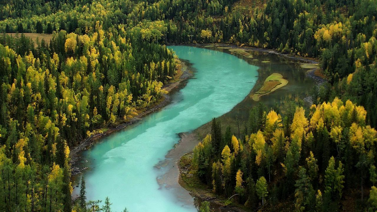 Wallpaper wood, autumn, river, bends, blue water, mountains