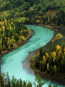 Preview wallpaper wood, autumn, river, bends, blue water, mountains