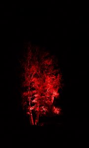 Preview wallpaper wood, backlight, red, dark