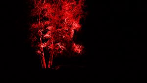 Preview wallpaper wood, backlight, red, dark