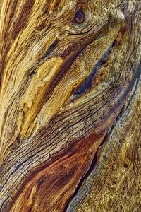 Preview wallpaper wood, bark, relief, macro