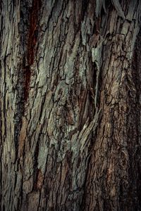 Preview wallpaper wood, bark, wooden, texture