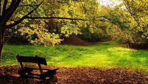 Preview wallpaper wood, bench, glade, logs, leaves