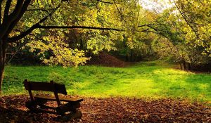 Preview wallpaper wood, bench, glade, logs, leaves