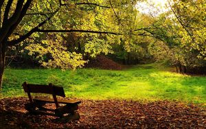 Preview wallpaper wood, bench, glade, logs, leaves