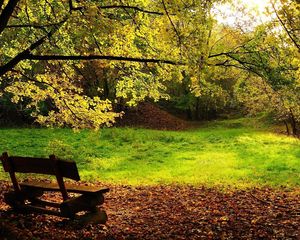 Preview wallpaper wood, bench, glade, logs, leaves