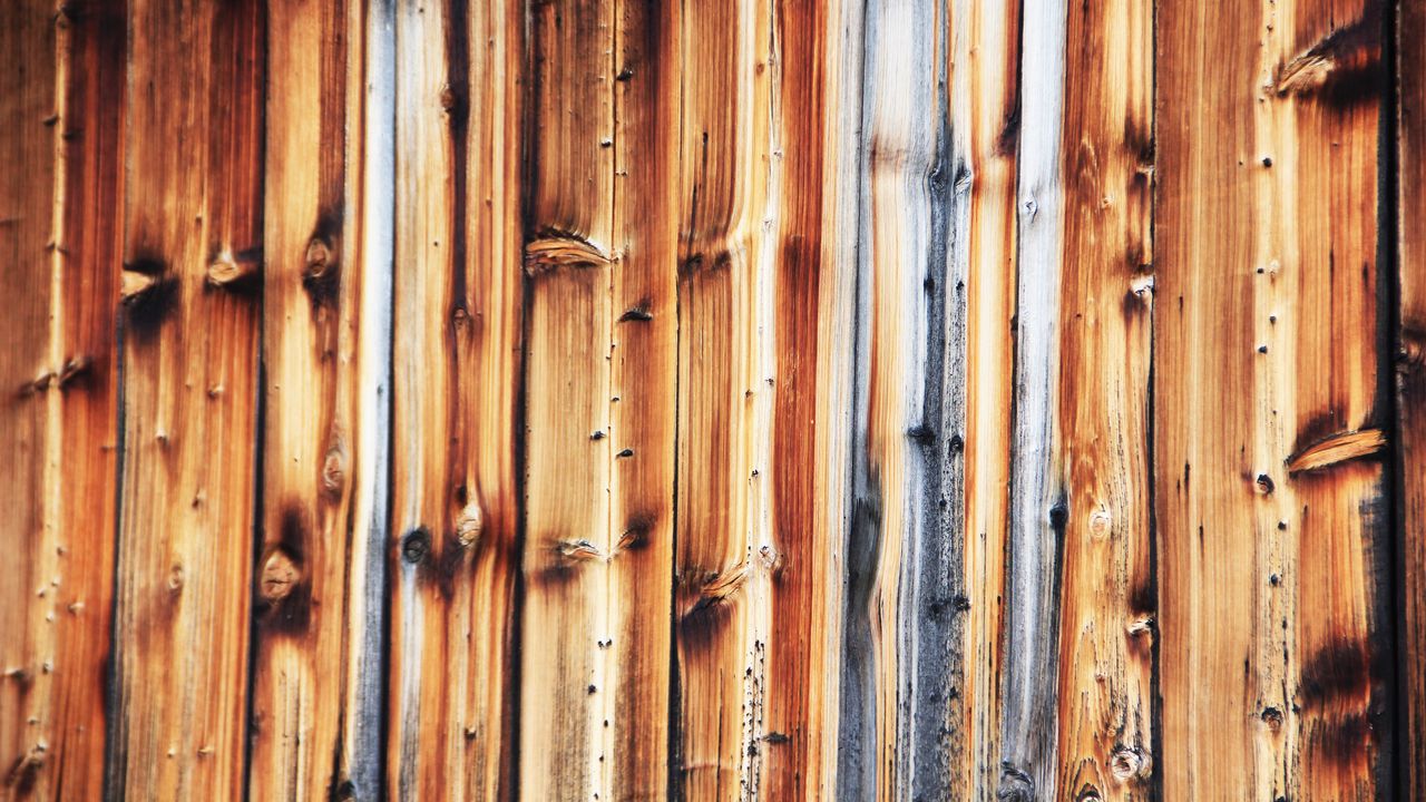 Wallpaper wood, boards, relief, texture, colorful