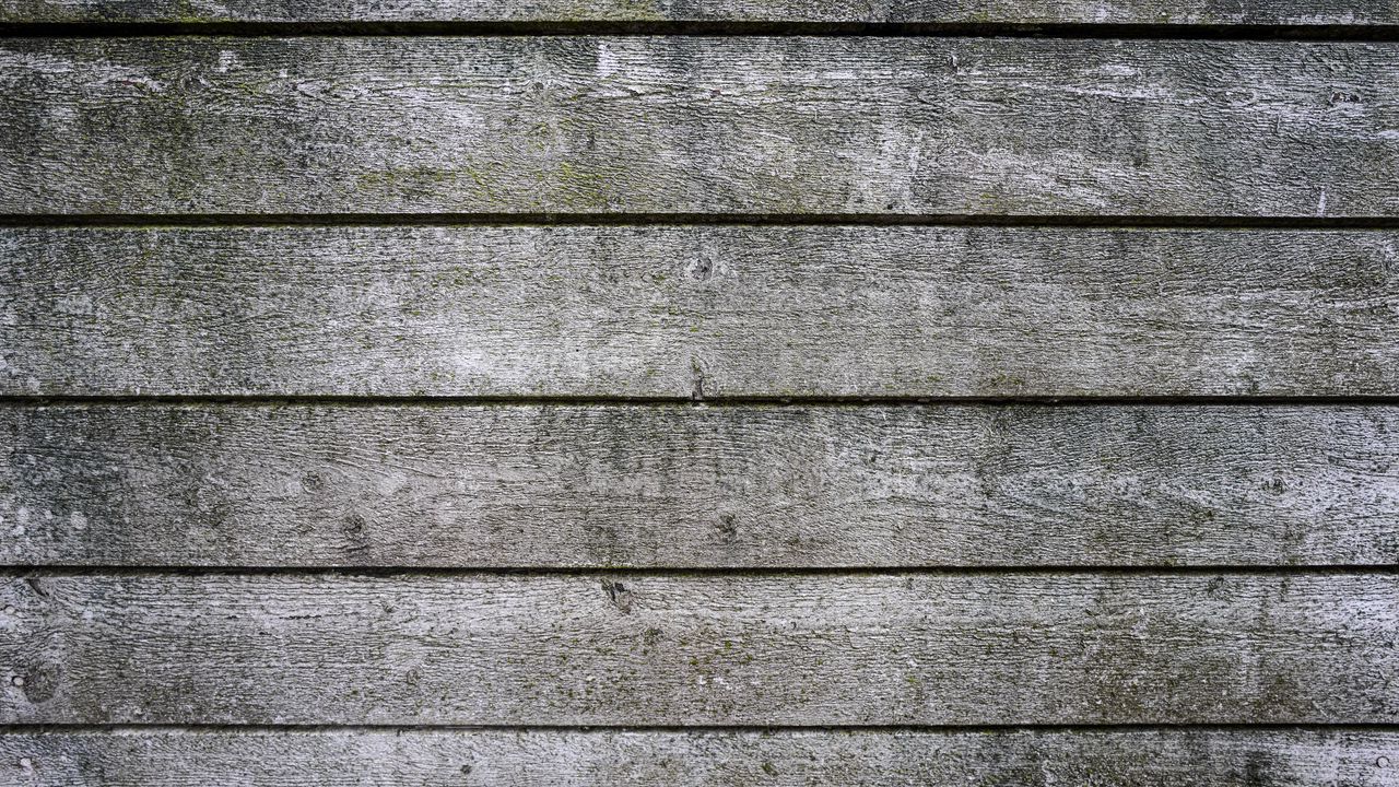 Wallpaper wood, boards, surface, texture, gray