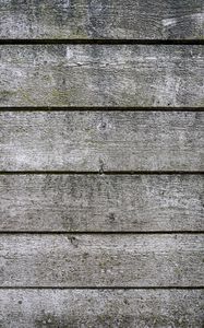 Preview wallpaper wood, boards, surface, texture, gray