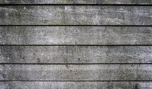 Preview wallpaper wood, boards, surface, texture, gray