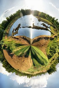 Preview wallpaper wood, circle, greens, planet, shcherbakov