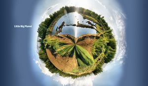 Preview wallpaper wood, circle, greens, planet, shcherbakov