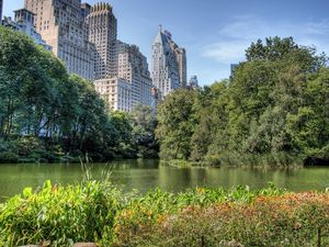 Preview wallpaper wood, city, trees, buildings, lake