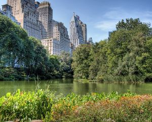 Preview wallpaper wood, city, trees, buildings, lake