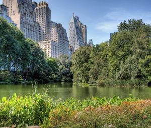 Preview wallpaper wood, city, trees, buildings, lake