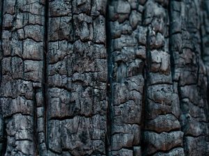 Preview wallpaper wood, coal, texture, black