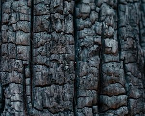 Preview wallpaper wood, coal, texture, black