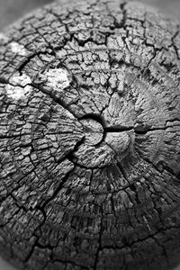 Preview wallpaper wood, cranny, texture, bw