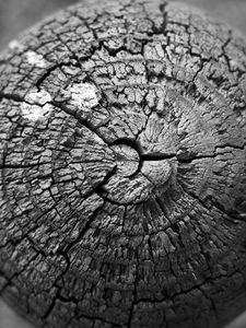 Preview wallpaper wood, cranny, texture, bw