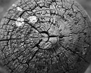 Preview wallpaper wood, cranny, texture, bw