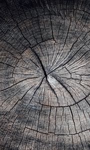 Preview wallpaper wood, cranny, texture, gray