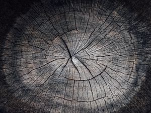 Preview wallpaper wood, cranny, texture, gray