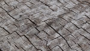 Preview wallpaper wood, cranny, wooden, log