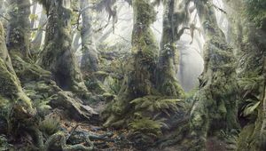 Preview wallpaper wood, dense, trees, thickets, fern, vegetation, roots, moss, light