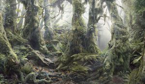 Preview wallpaper wood, dense, trees, thickets, fern, vegetation, roots, moss, light