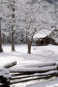 Preview wallpaper wood, fence, logs, small house, trees, hoarfrost, winter, tenessee