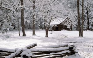Preview wallpaper wood, fence, logs, small house, trees, hoarfrost, winter, tenessee