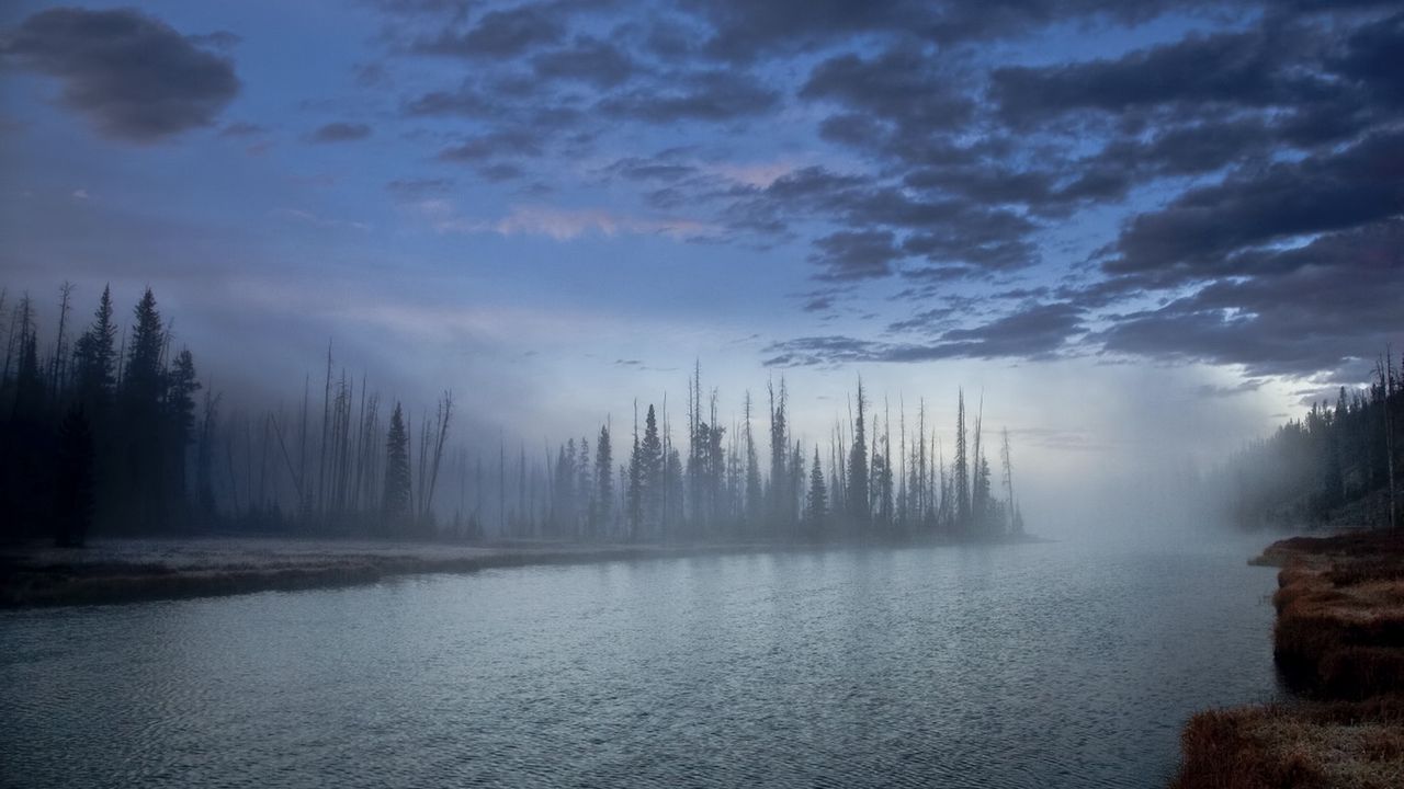 Wallpaper wood, fog, haze, lake, clouds