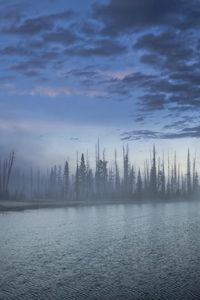 Preview wallpaper wood, fog, haze, lake, clouds