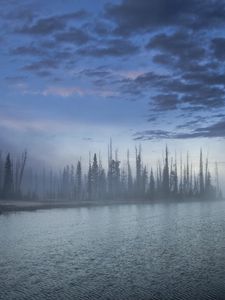 Preview wallpaper wood, fog, haze, lake, clouds