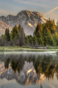 Preview wallpaper wood, fog, morning, mountains, reflection, colors