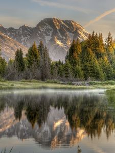 Preview wallpaper wood, fog, morning, mountains, reflection, colors