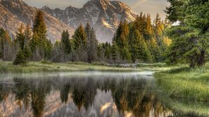 Preview wallpaper wood, fog, morning, mountains, reflection, colors