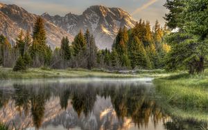 Preview wallpaper wood, fog, morning, mountains, reflection, colors