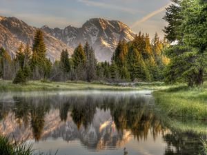 Preview wallpaper wood, fog, morning, mountains, reflection, colors