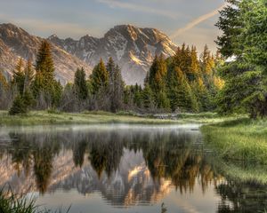 Preview wallpaper wood, fog, morning, mountains, reflection, colors