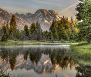 Preview wallpaper wood, fog, morning, mountains, reflection, colors